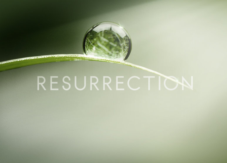Постер для 1 сезона сериала Воскрешение